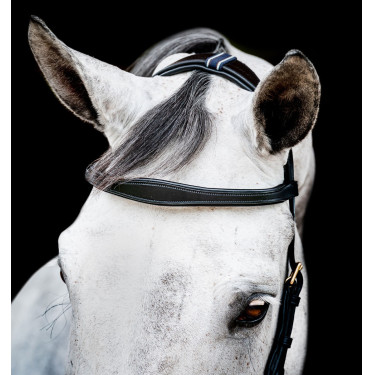 Bridon Horseware Micklem 2 Multi Noir Bridon Horseware Micklem 2 Multi Noir