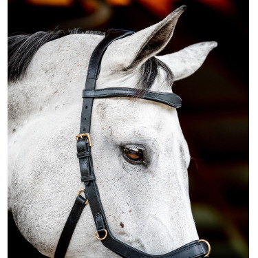 Bridon Horseware Micklem 2 Multi Noir Bridon Horseware Micklem 2 Multi Noir