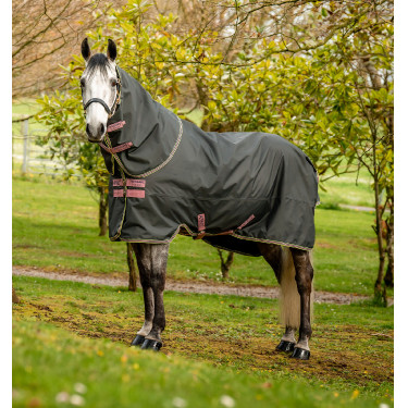 Couverture Horseware Amigo Hero Ripstop Plus avec couvre Cou 0g Couverture Horseware Amigo Hero Ripstop Plus avec couvre Cou 0g