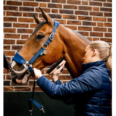 Licol Horseware de pansage Signature Licol Horseware de pansage Signature