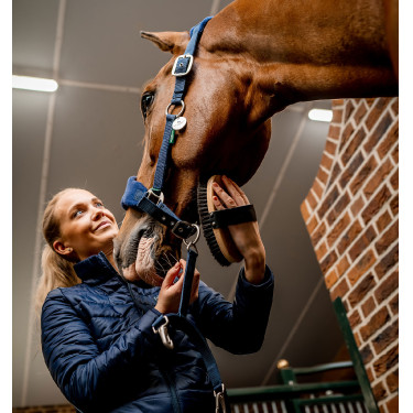 Licol Horseware de pansage Signature Licol Horseware de pansage Signature