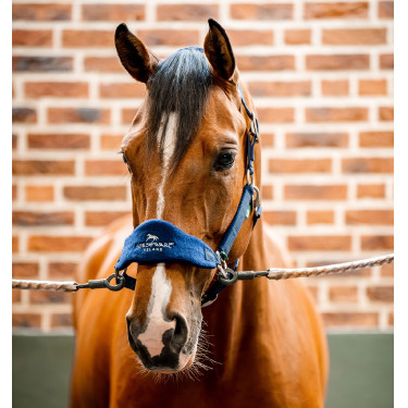 Licol Horseware de pansage Signature Licol Horseware de pansage Signature