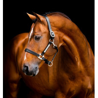 Lederen halster Horseware Signature Zwart Lederen halster Horseware Signature Zwart