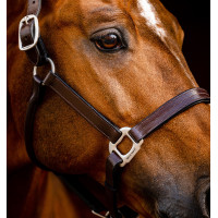 Lederen halster Horseware Signature Zwart Lederen halster Horseware Signature Zwart