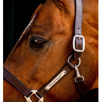 Lederen halster Horseware Signature Zwart