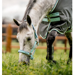 Licol Spécial Pâturage Horseware® Fieldsafe Haze bleu