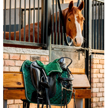 Tapis de dressage Horseware Signature Tapis de dressage Horseware Signature