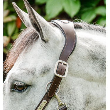 Gevlochten Horseware Signature halster Bruin / marine / nevelblauw Multicolor