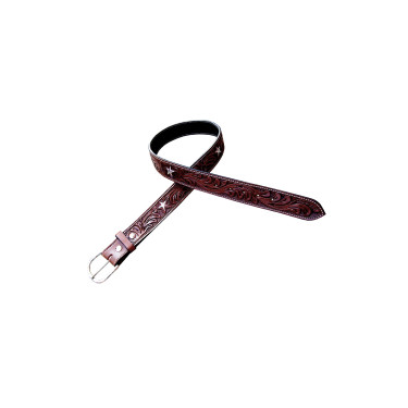 Star Pool's riem