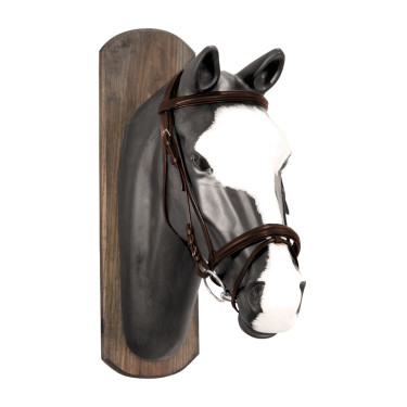 Filet Derby avec rênes en coton Marron foncé
