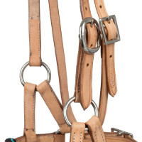 Bitloos hoofdstel met kopstuk versierd met gekleurde kralen Pool's Natuurlijk Bruin Bitloos hoofdstel met kopstuk versierd met gekleurde kralen Pool's Natuurlijk Bruin