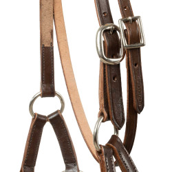 Fillet sans mors avec têtière décoré en perles colorées Pool's Marron foncé