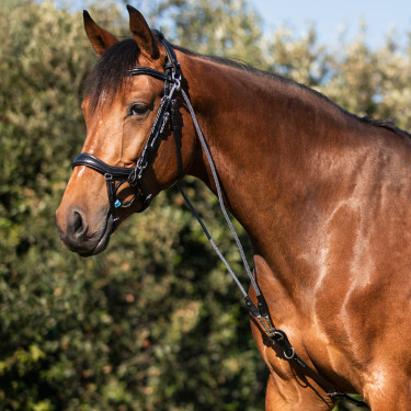 Koppel van kalfsleer en nylon Acavallo Zwart