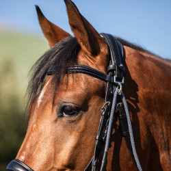 Koppel van kalfsleer en nylon Acavallo Zwart