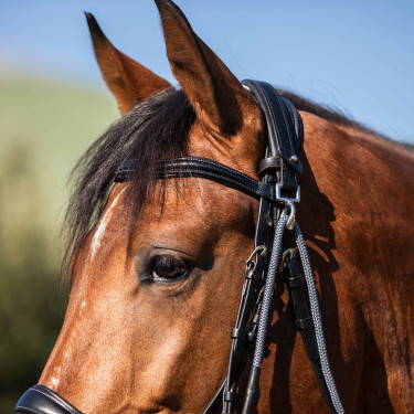 Koppel van kalfsleer en nylon Acavallo Zwart