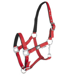 Licol pour poulain en cuir rembourré toucher doux à double réglage Supreme Rouge