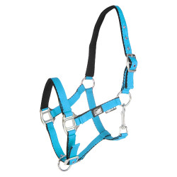 Licol pour poulain en cuir rembourré toucher doux à double réglage Supreme Turquoise