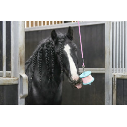 Pierre à lécher Likit Pierre à lécher Likit