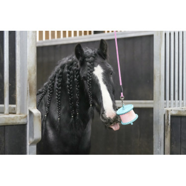 Pierre à lécher Likit