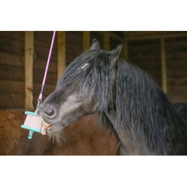 Pierre à lécher Likit