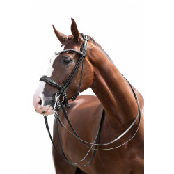 HKM hoofdstel Kate Zwart HKM hoofdstel Kate Zwart