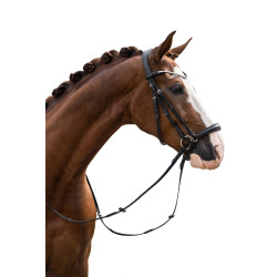 Bridon HKM Nicole Zwart Bridon HKM Nicole Zwart