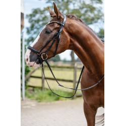 Bridon HKM Nicole Zwart Bridon HKM Nicole Zwart