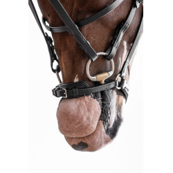 Bridon HKM Nicole Zwart Bridon HKM Nicole Zwart