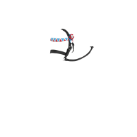 Bridon Mini Pony LeMieux Showen Zwart Bridon Mini Pony LeMieux Showen Zwart