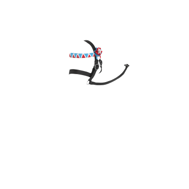 Bridon Mini Pony LeMieux Showen Bridon Mini Pony LeMieux Showen