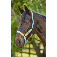 Licol Weatherbeeta Coordinate Bleu clair / or / sable Multi-couleurs Licol Weatherbeeta Coordinate Bleu clair / or / sable Multi-couleurs