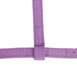 Licol Poulain Horze Spirit Violet