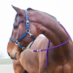 Longe Horze Supreme, mousqueton Violet