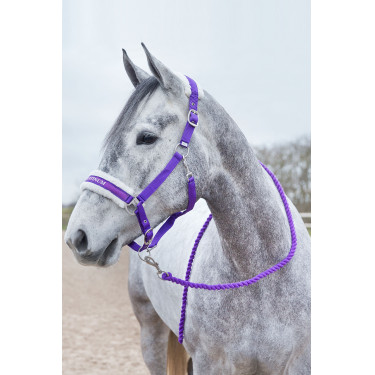 Longe Howard Crescendo Horze Violet