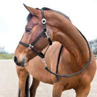 Longe Basic Horze en Coton Rose framboise Longe Basic Horze en Coton Rose framboise