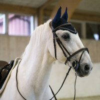 Bonnet Sam avec oreilles B Vertigo chasse-mouches Chocolat Marron Bonnet Sam avec oreilles B Vertigo chasse-mouches Chocolat Marron