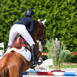 Winslow Horze paardrijlaarzen Zwart Winslow Horze paardrijlaarzen Zwart