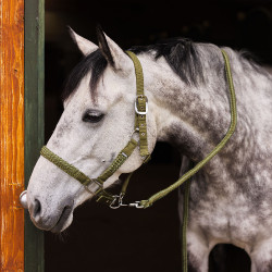 Halster- en leidseltouwset Chicago Horze Cipresgroen / lodegroen