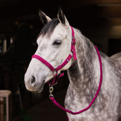 Ensemble licol et longe Chicago Horze Bordeaux / violet quartz Ensemble licol et longe Chicago Horze Bordeaux / violet quartz