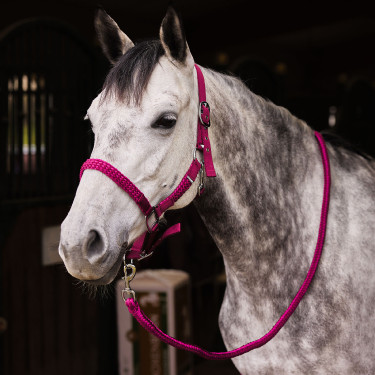 Ensemble licol et longe Chicago Horze Bordeaux / violet quartz Ensemble licol et longe Chicago Horze Bordeaux / violet quartz