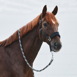 Halster Kiel met fleecevoering Horze Zwart