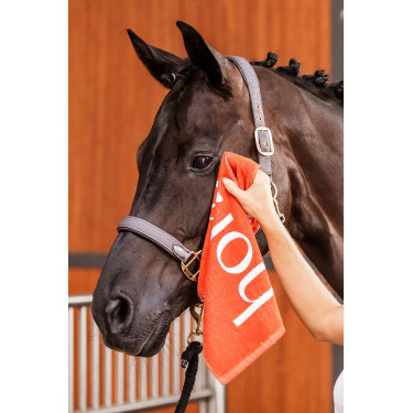 Handdoek Horze Roestoranje