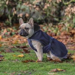 Couverture pour chien Show-Line Bucas Marine / gris Bleu Couverture pour chien Show-Line Bucas Marine / gris Bleu