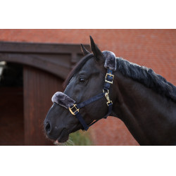 Licol Bucas Show-Line Marine / gris Bleu