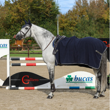 Couverture polaire Bucas Show-Line 400g Couverture polaire Bucas Show-Line 400g