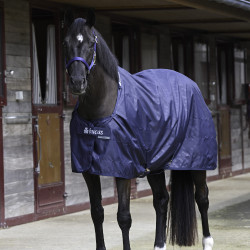 Chemise d'écurie Bucas Marine Bleu marine