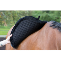 Tapis LeMieux Merino+ Sensitive Skin Euro Jump Square Bleu marine Tapis LeMieux Merino+ Sensitive Skin Euro Jump Square Bleu marine