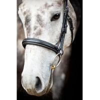 Bridon Montar Hunter Noir Bridon Montar Hunter Noir