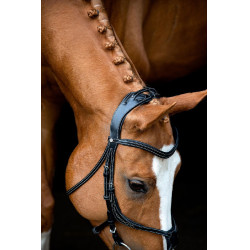 Bridon Montar Lyon 8-Fig cuir tanné Noir