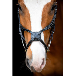 Bridon Montar Lyon 8-Fig cuir tanné Noir